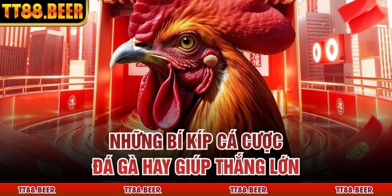 Những bí kíp cá cược đá gà hay giúp thắng lớn